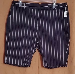 Dress Bermuda Shorts